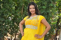 Pragnya Photos